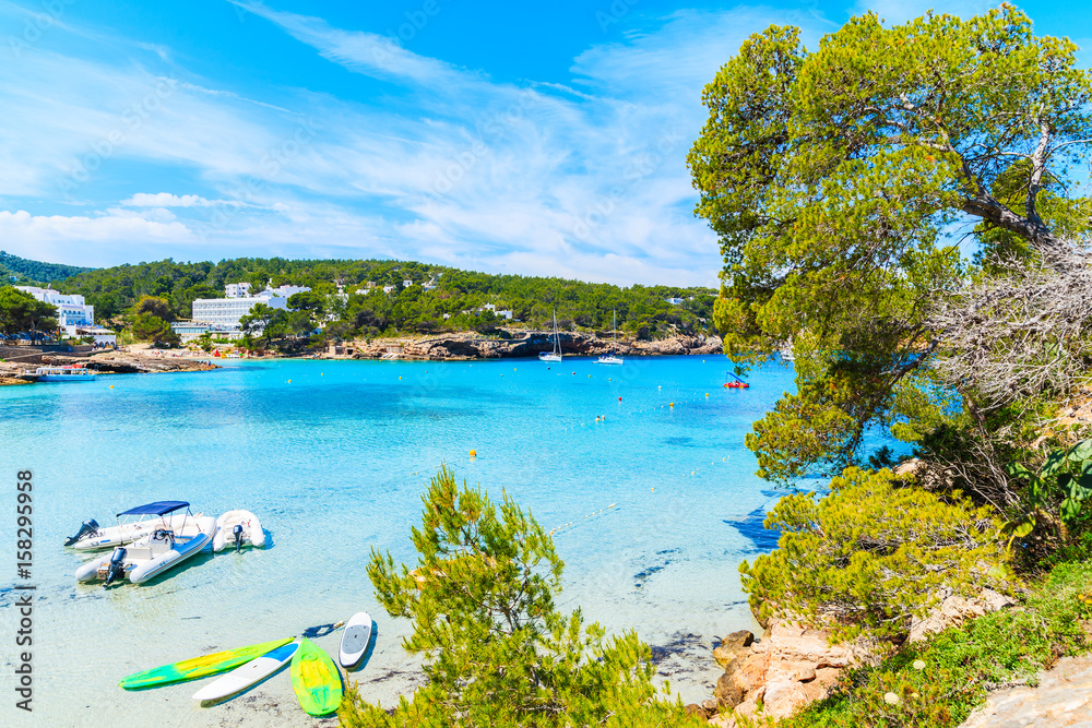 Green pine tree on cliff rock overlooking beautiful Cala Portinatx bay with surfboards and dinghy boats on azure sea water, Ibiza island, Spain