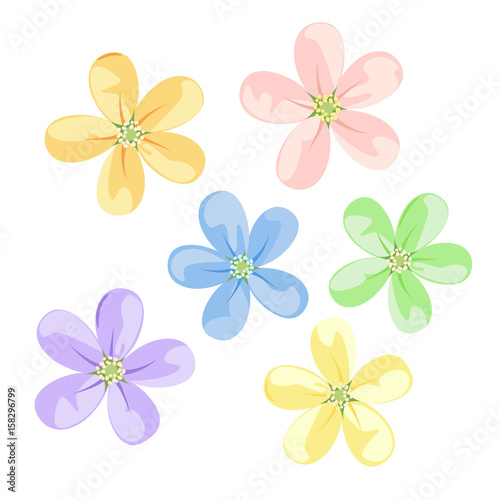 Vector floral set