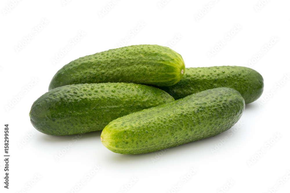 Eco cucumber on white background. Fresh vegetables. Eco cucumber on white background. Fresh vegetables.