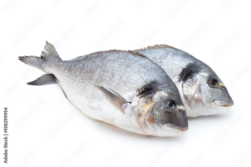 Fresh bream sea isolated on white background. Fresh bream sea isolated on white background.