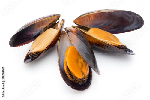 Mussels isolated on white background. Sea food.