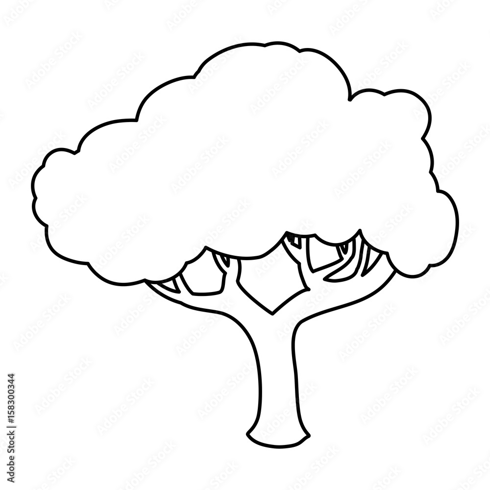 Beautiful tree isolated icon vector illustration graphic design Beautiful tree isolated icon vector illustration graphic design
