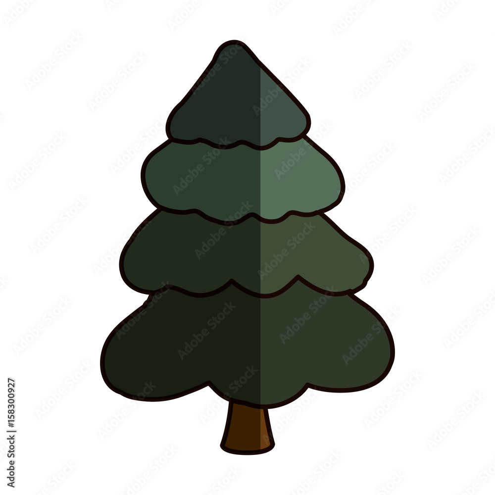 Beautiful tree isolated icon vector illustration graphic design Beautiful tree isolated icon vector illustration graphic design