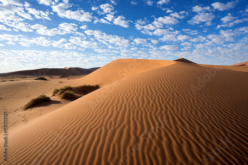 Dune in Namib Desert, Namibia © Aleksei
