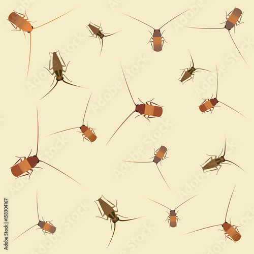 Cockroach background. Vector flat cartoon illustration © PrettyVectors