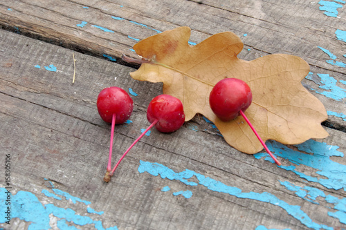 Small apples Kitaika with a yellow sheet on old board. photo