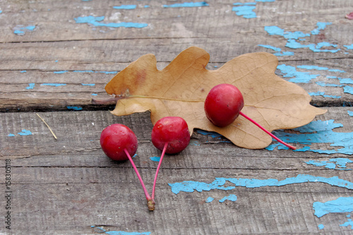 Small apples Kitaika with a yellow sheet on old board. photo