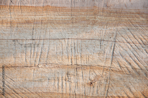 Wooden background. Brown textured log closeup