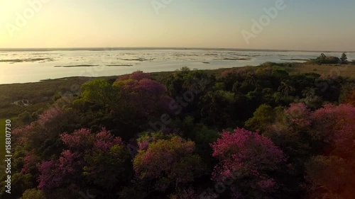 Scenic aerial view of lake in Ibera Wetlands, Corrientes Province, Argentina