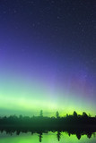 Vertical composition of vibrant northern lights in a sky full of stars