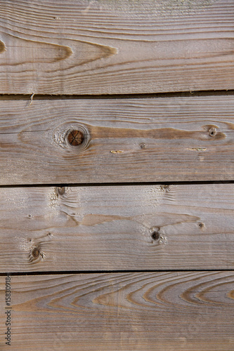 old aged tree wood texture 