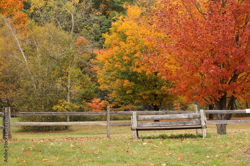 Lonely Bench