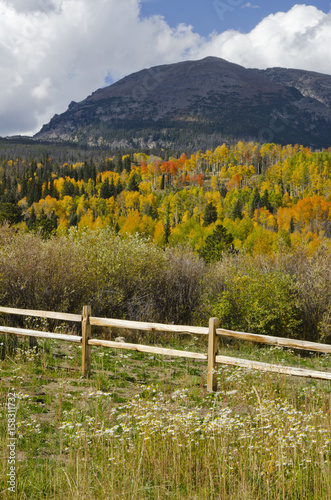 Summit County Autumn Colors on Buffalo Mountain
