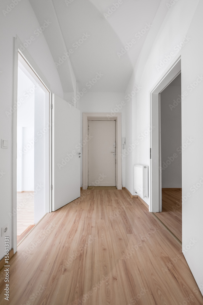 Fototapeta premium entrance door and corridor of new flat / apartment /shop