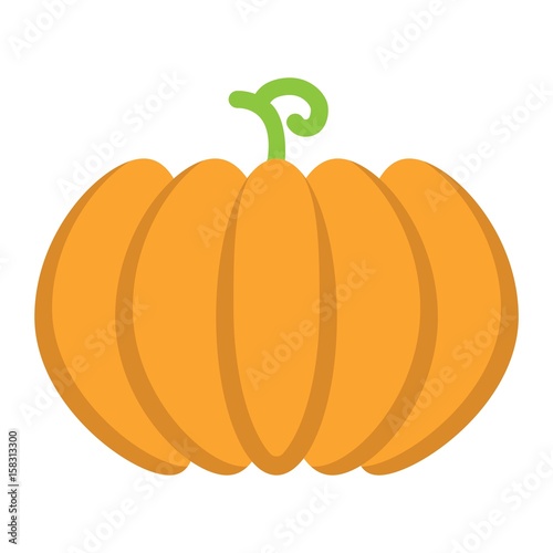 Pumpkin flat icon, fruit and vegetable, vector graphics, a colorful solid pattern on a white background, eps 10. photo