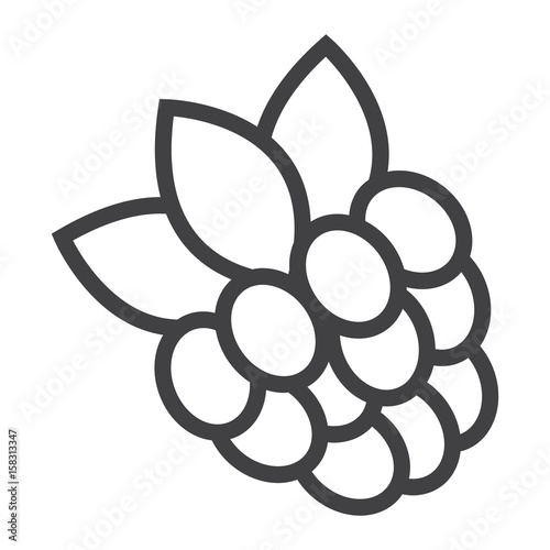 Raspberry line icon, fruit and diet, vector graphics, a linear pattern on a white background, eps 10.