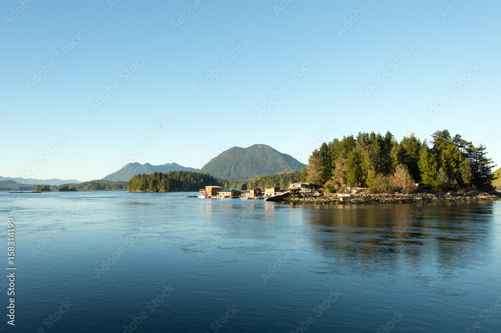 View from Tofino Harbour