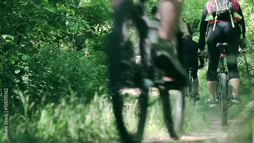 Close-up shot of bikes riding on park trail