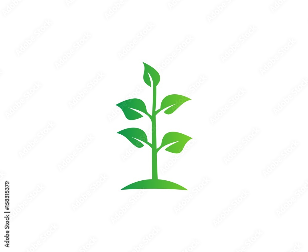Obraz premium Plant logo