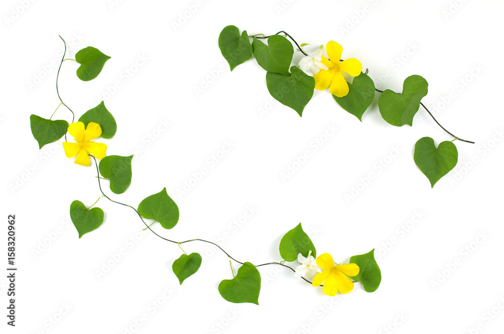 Obraz premium Heart shape leaves and flowers frame on white background. Flat lay.