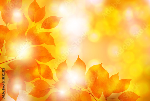 紅葉　秋　風景　背景 