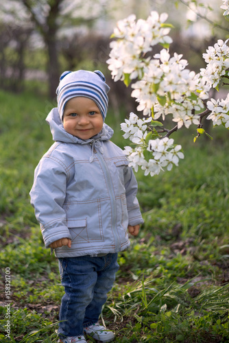 Little boy with a flowering tree