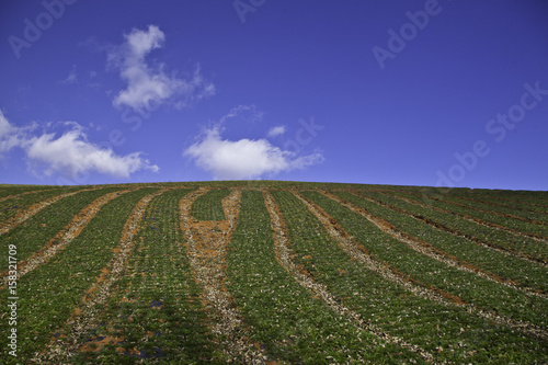 Red Lands  Dongchuan  China