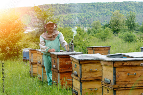 Beekeeper is working with bees and beehives on the apiary. Apiculture.