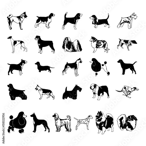 dog clipart cartoon. Vector Illustration.. Collection set