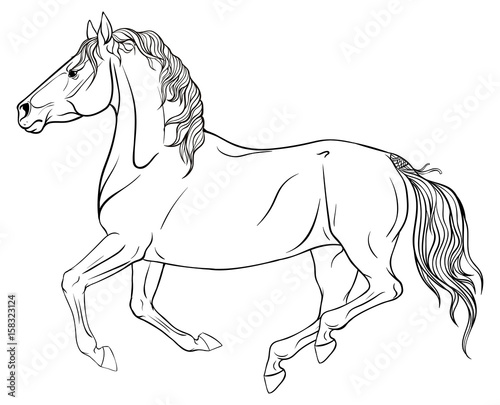 Page coloring with equestrian sport.