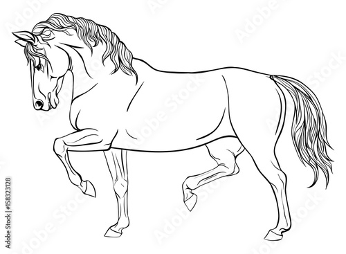 Page coloring with equestrian sport.