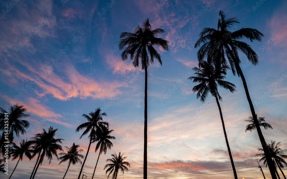 Silhouette of coconut tree during sunrise in Thailand