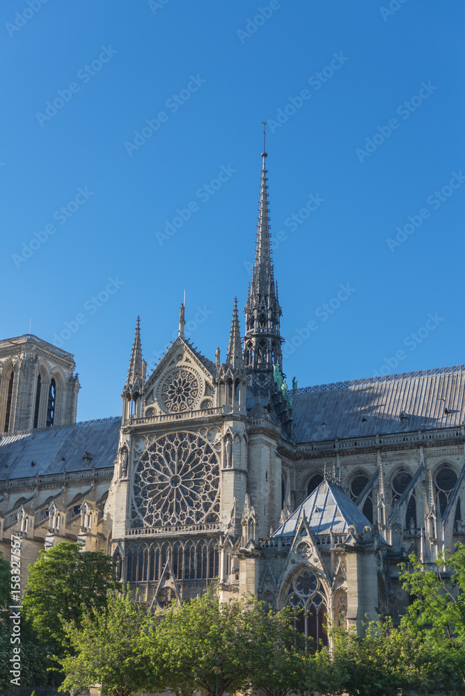     Paris, Notre-Dame cathedral in the ile de la Cite, rosette and stained glass window 