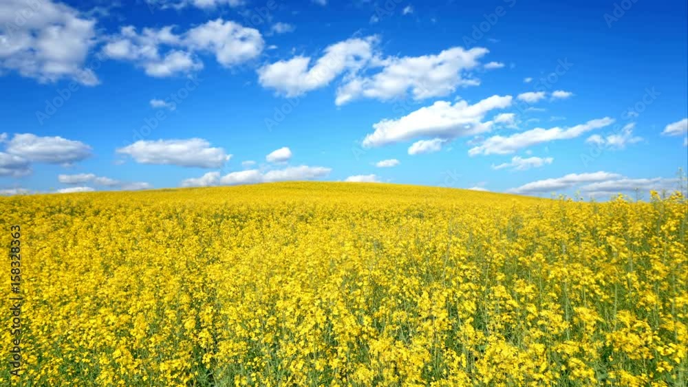 The clouds are floating on the ladder with their fields. TimeLapse The clouds are floating on the ladder with their fields. TimeLapse