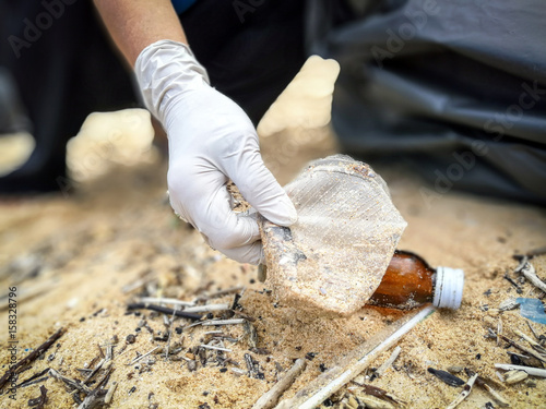 Volunteers clean beaches