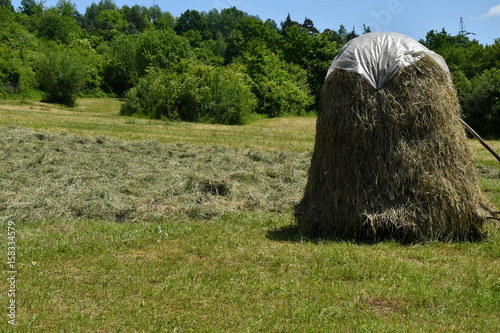 stocked hay on the meadow