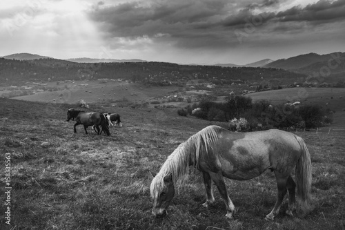 Fototapeta Naklejka Na Ścianę i Meble -  Krywe po deszczu