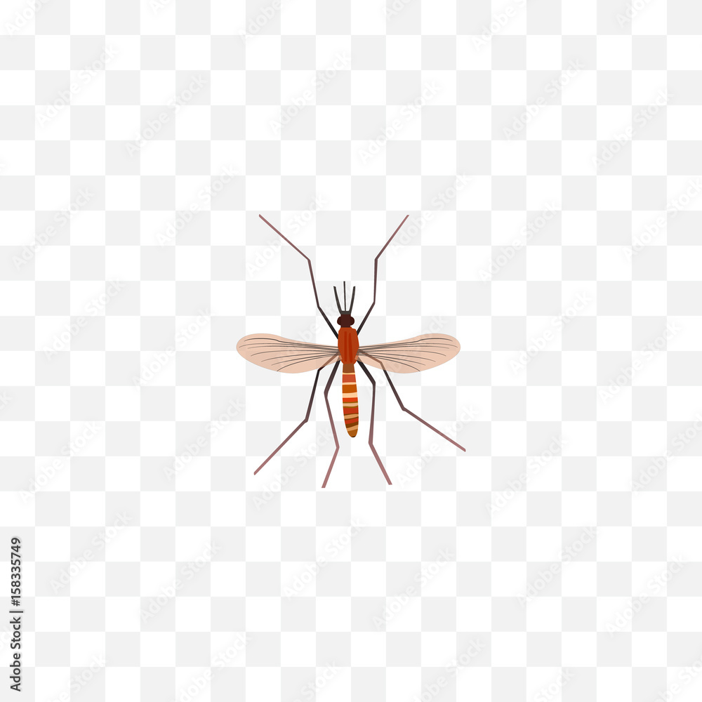 Gnat Vector Realistic Mosquito Element. Vector Illustration Of Realistic Gnat ...
