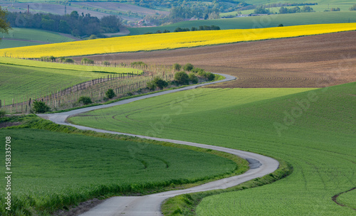 narrow asphalt road among fields.South Moravia, Czech Republic