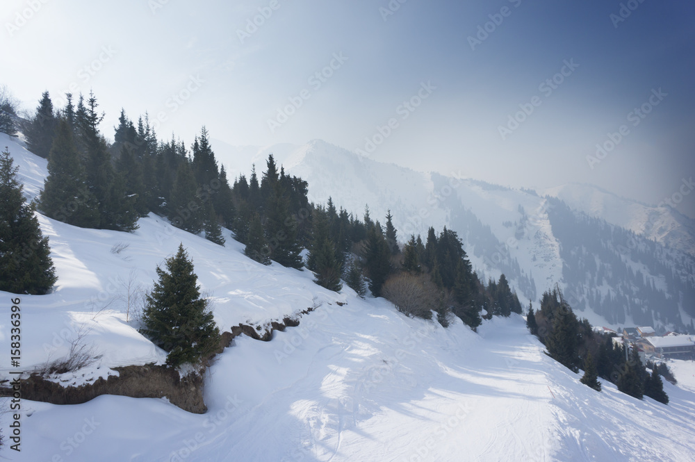 Naklejka premium Winter landscape with snow and pines in mountains