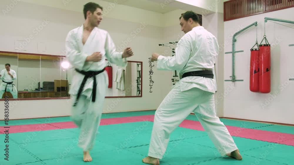 kTwo karate players compete in the ring 4k kTwo karate players compete in the ring 4k