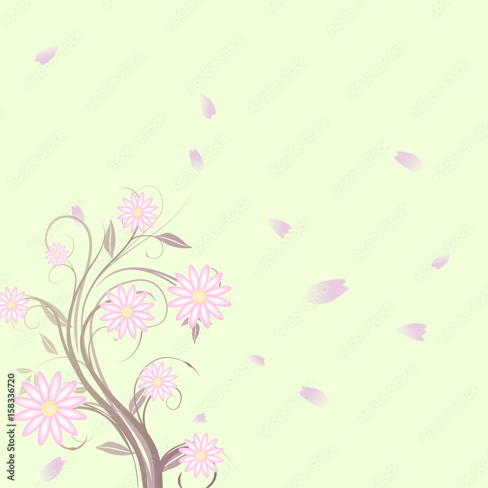 Flower Background, Marguerite, Branch, Petals 