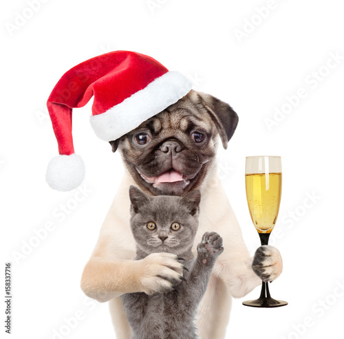 Kitten and puppy in red santa hat with a glass of champagne. isolated on white background © Ermolaev Alexandr