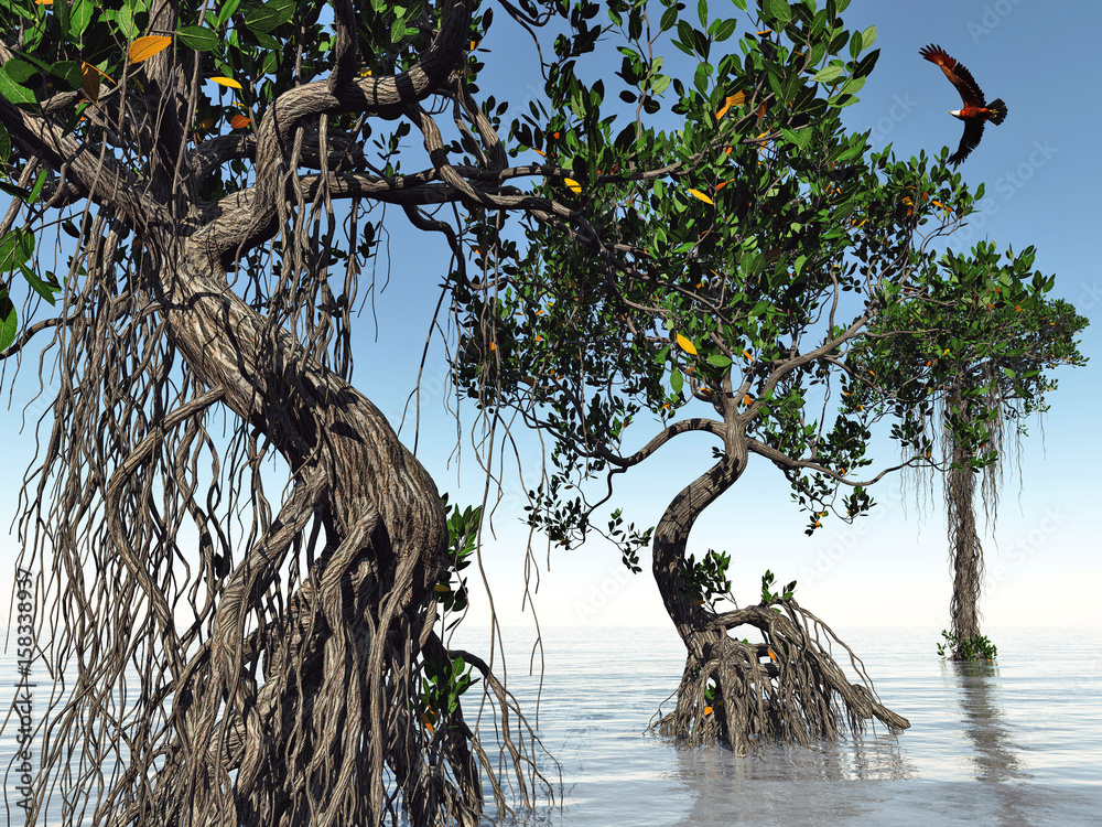 Red mangroves on Florida coast 3d rendering Red mangroves on Florida coast 3d rendering