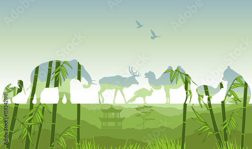 Double exposure, Wild animals