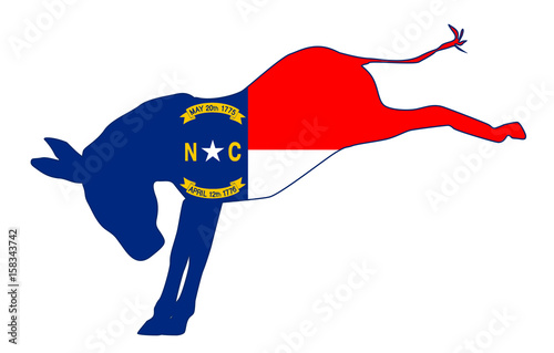 North Carolina Democrat Donkey Flag