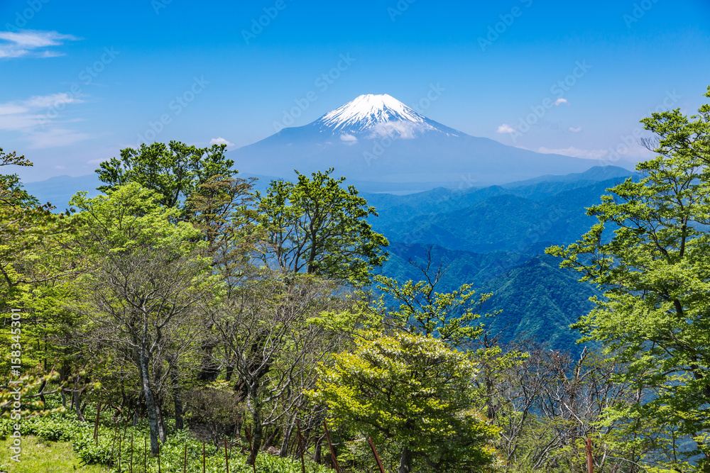 西丹沢から見る富士山 西丹沢から見る富士山