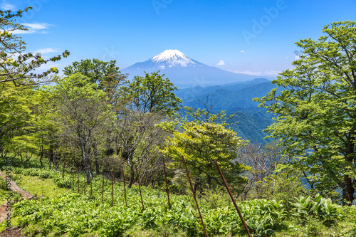西丹沢から見る富士山