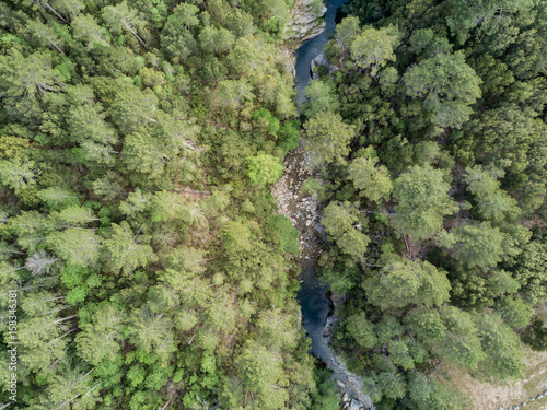Aerial view of river in dense forest in Corsica, France
