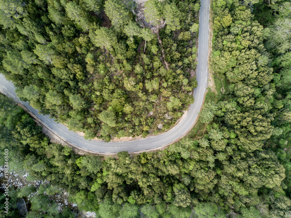 Obraz premium Aerial view of road in forest in Corsica